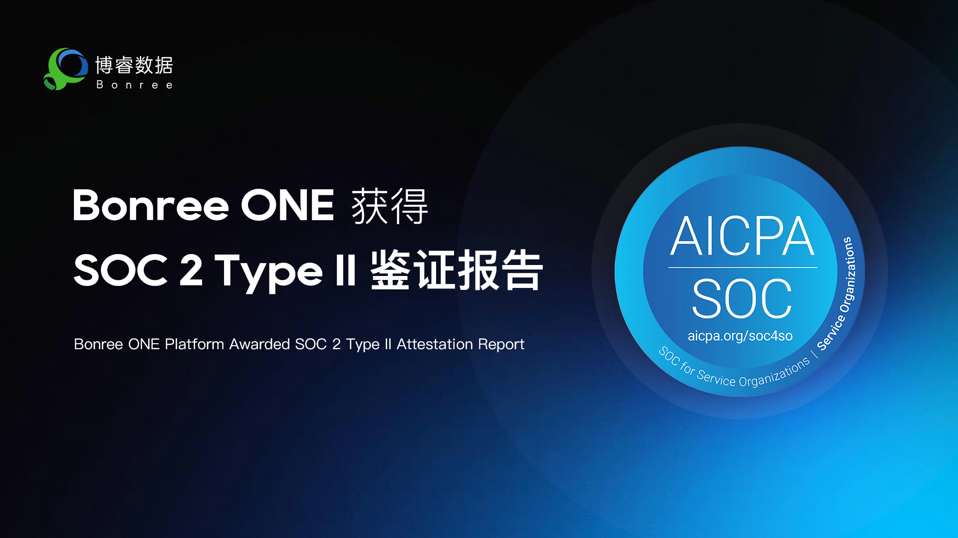 SOC-2审计(1)-1763626799194